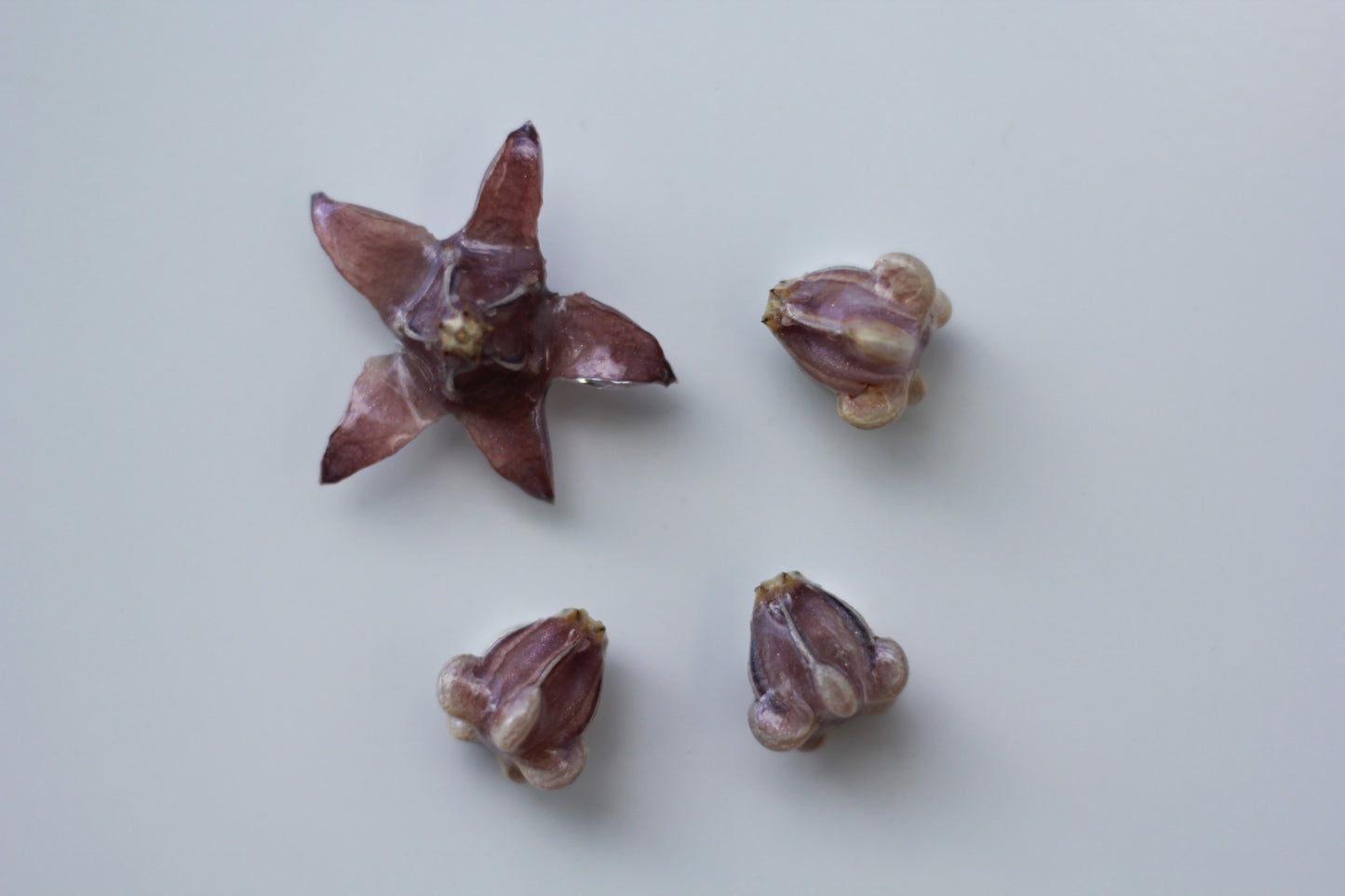 Pua Kalaunu (4pcs) - Set 1