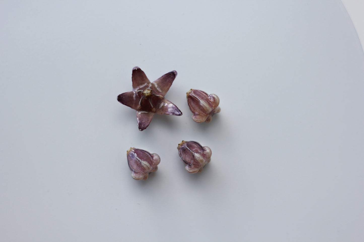 Pua Kalaunu (4pcs) - Set 3