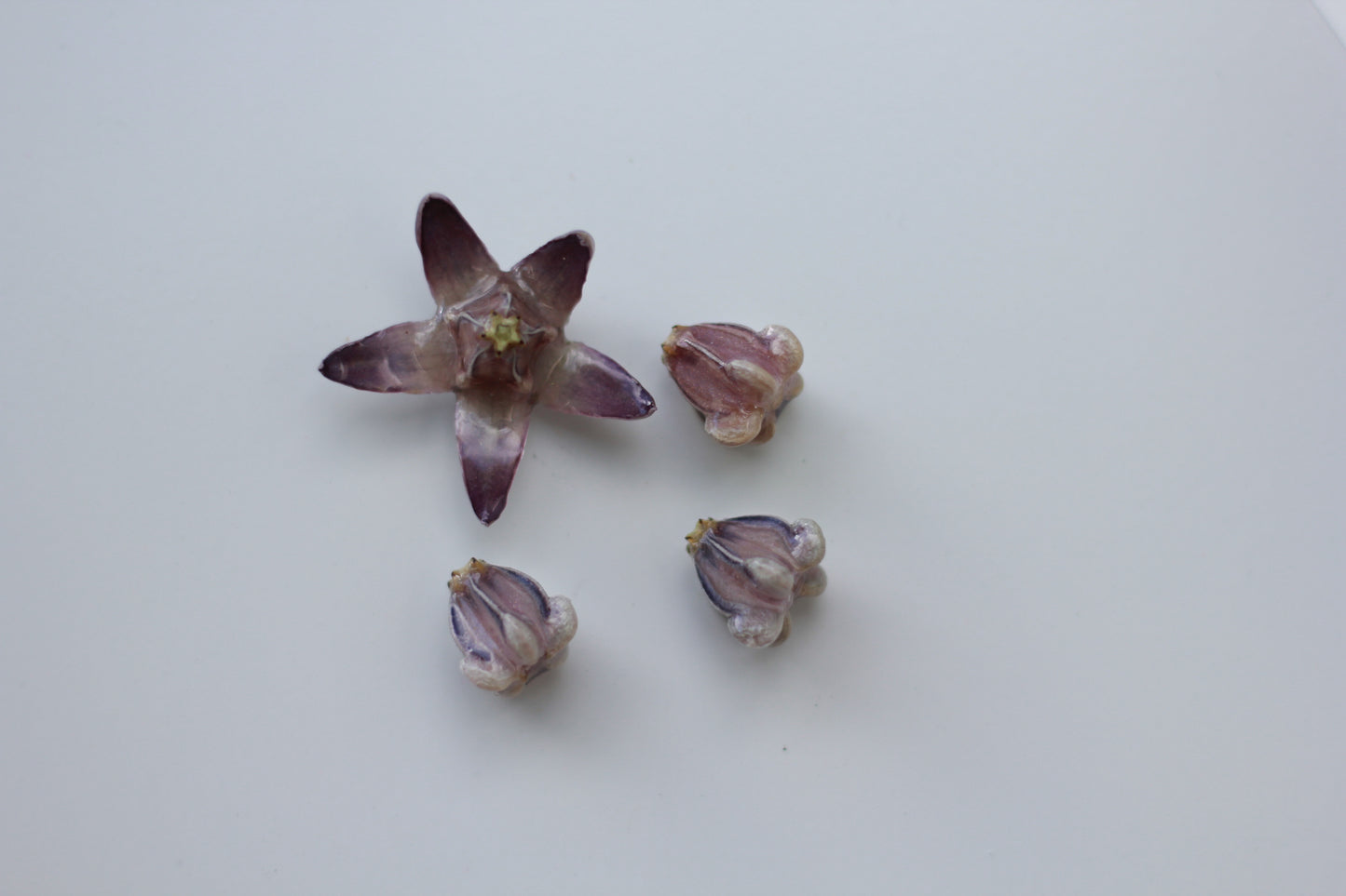 Pua Kalaunu (4pcs) - Set 4