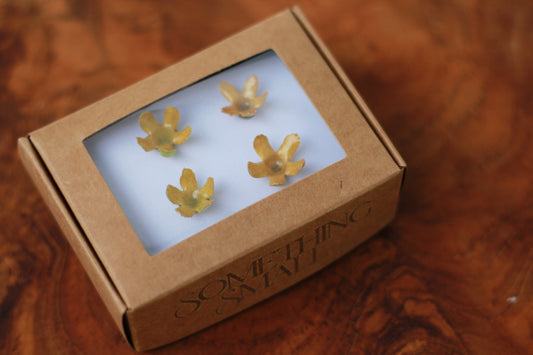 Pakalana (4 pcs) - Set 1