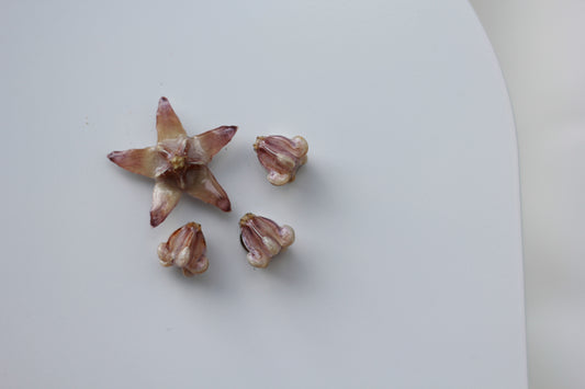 Pua Kalaunu (4pcs) - Set 7
