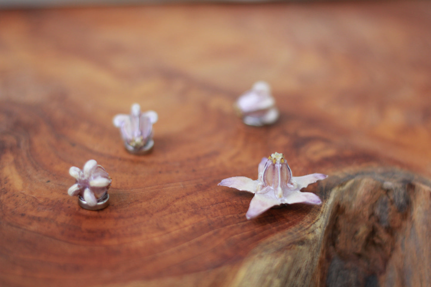 Pua Kalaunu (4pcs) - Set 7